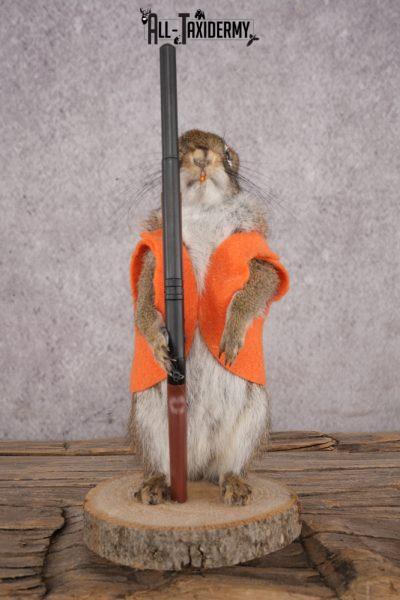 Hunting Squirrel SKU 3115