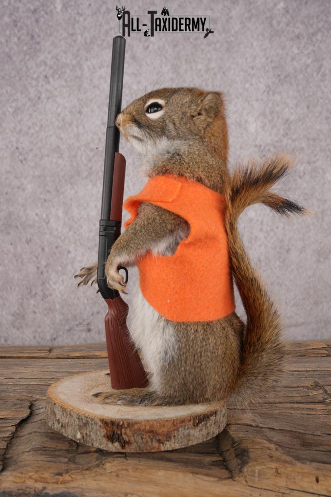 Hunting Squirrel SKU 3115 - Image 4