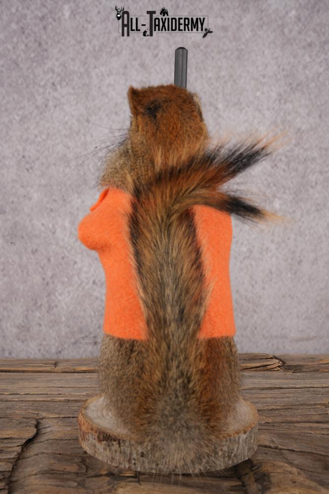 Hunting Squirrel SKU 3115 - Image 3