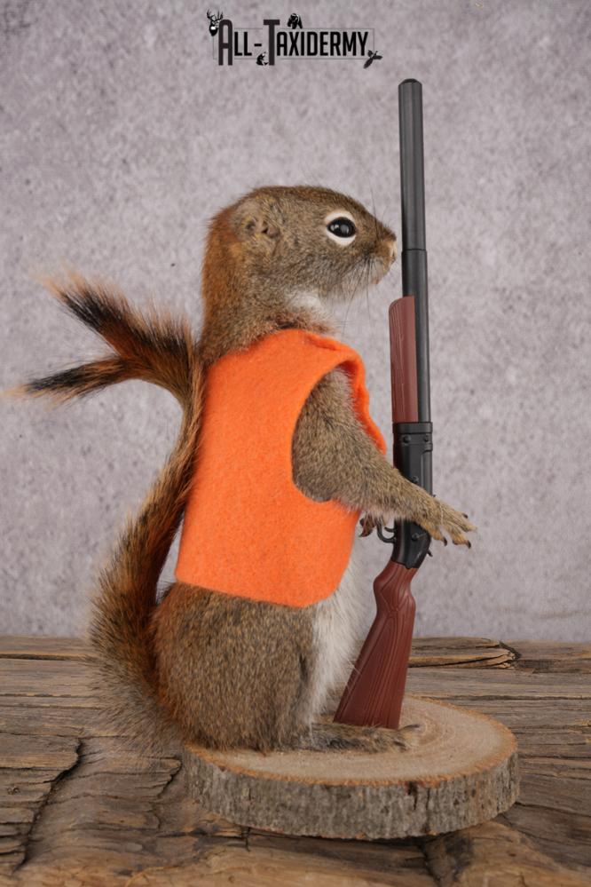 Hunting Squirrel SKU 3115 - Image 2