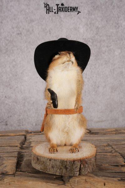 Cowboy Chipmunk SKU 3117