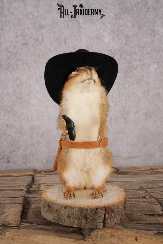 Cowboy Chipmunk SKU 3117