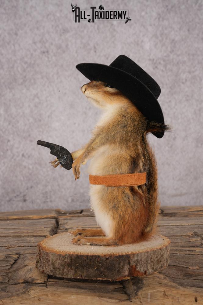 Cowboy Chipmunk SKU 3117 - Image 4