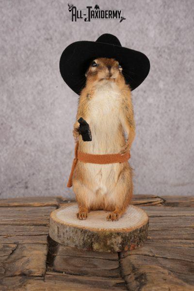 Cowboy Chipmunk SKU 3119