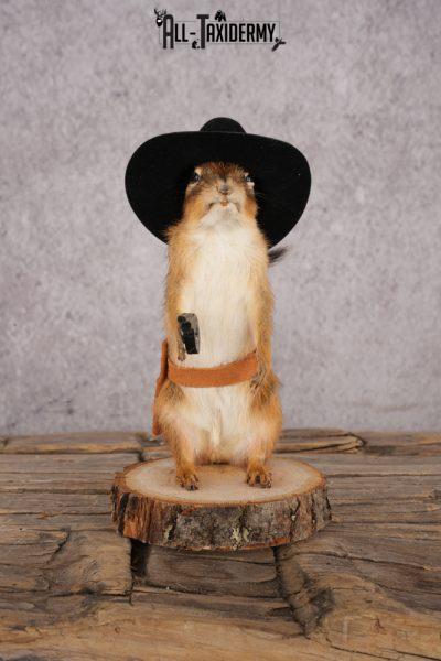 Cowboy Chipmunk SKU 3120
