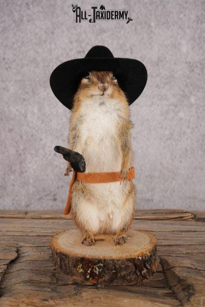 Cowboy Chipmunk SKU 3118