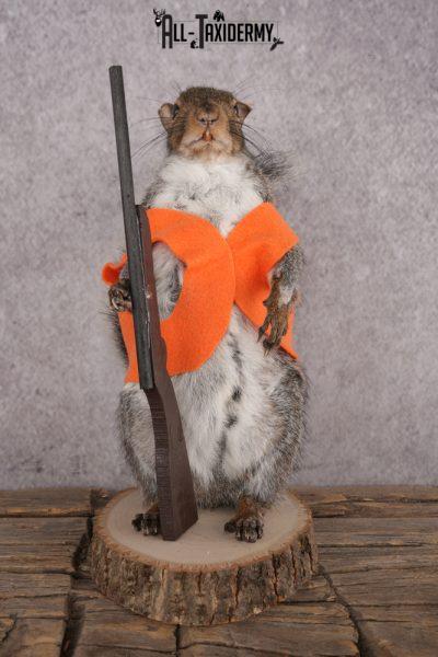 Hunting Squirrel SKU 3109