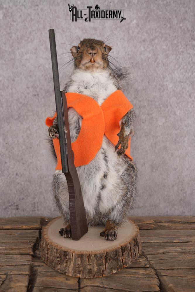 Hunting Squirrel SKU 3109