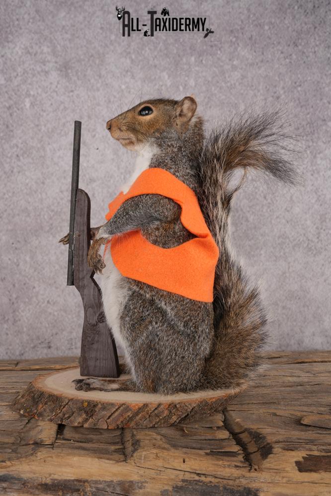 Hunting Squirrel SKU 3109 - Image 4