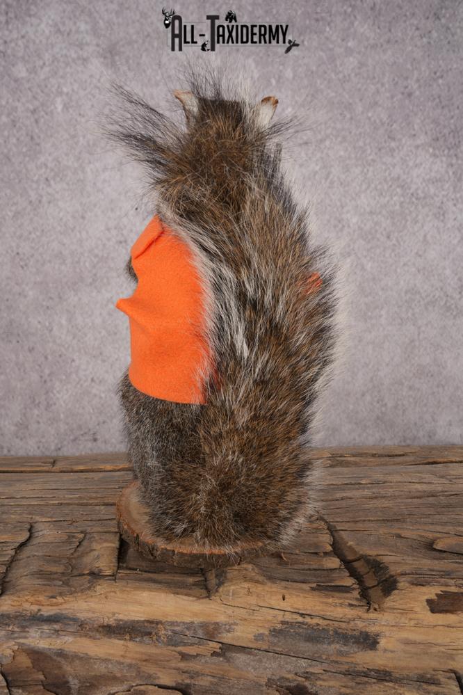 Hunting Squirrel SKU 3109 - Image 3