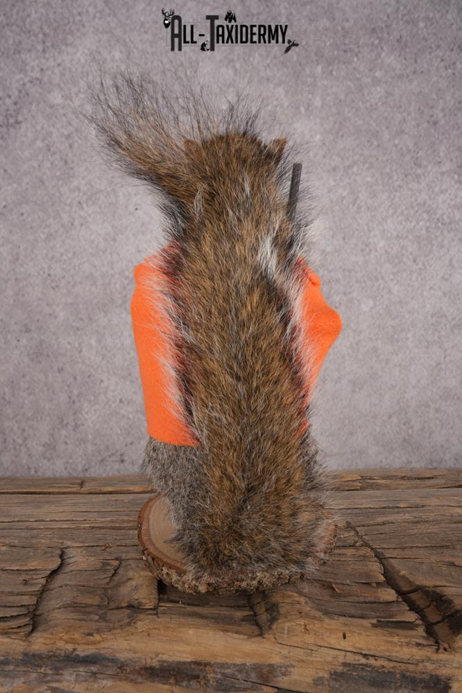Hunting Squirrel SKU 3110 - Image 3