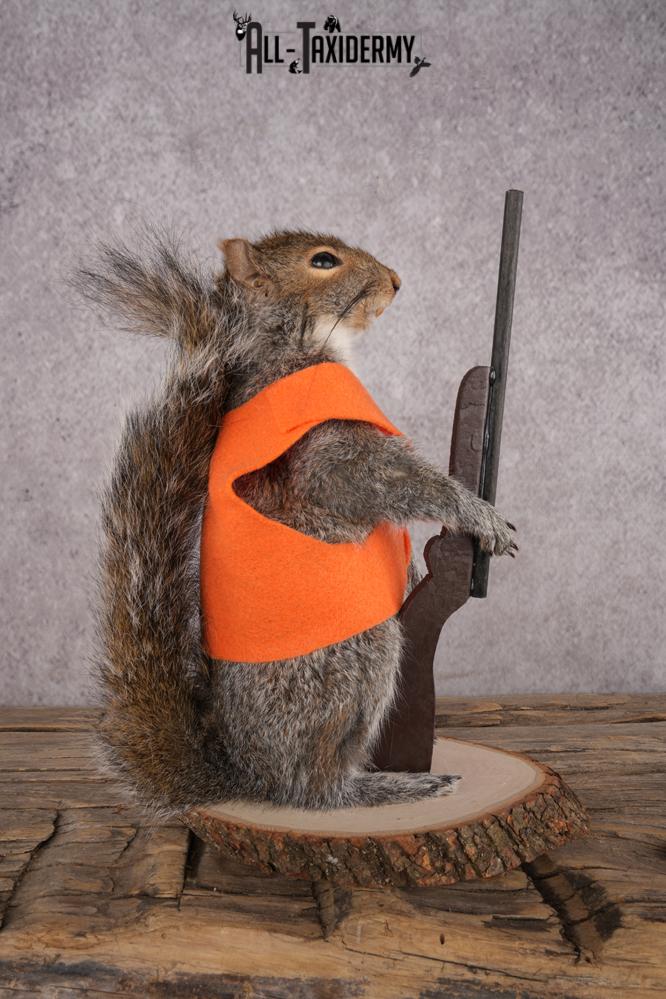 Hunting Squirrel SKU 3110 - Image 2