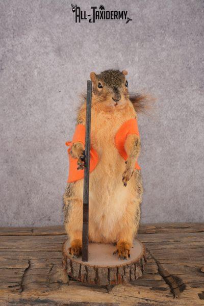 Hunting Squirrel SKU 3111