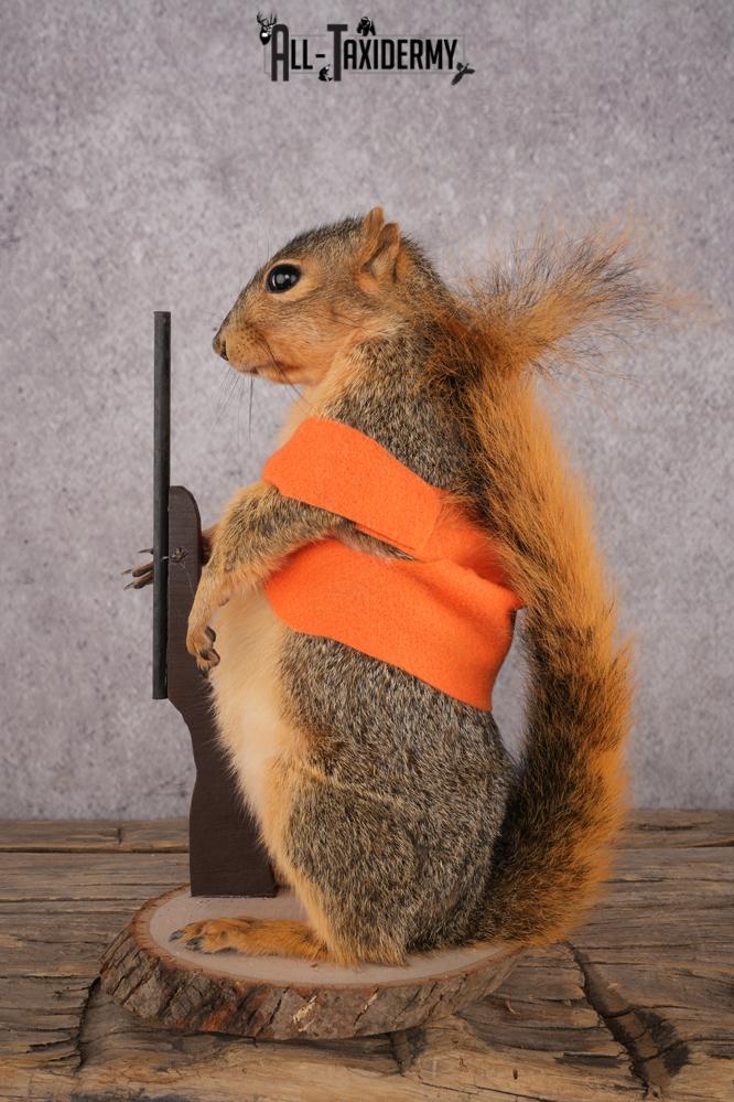 Hunting Squirrel SKU 3111 - Image 4