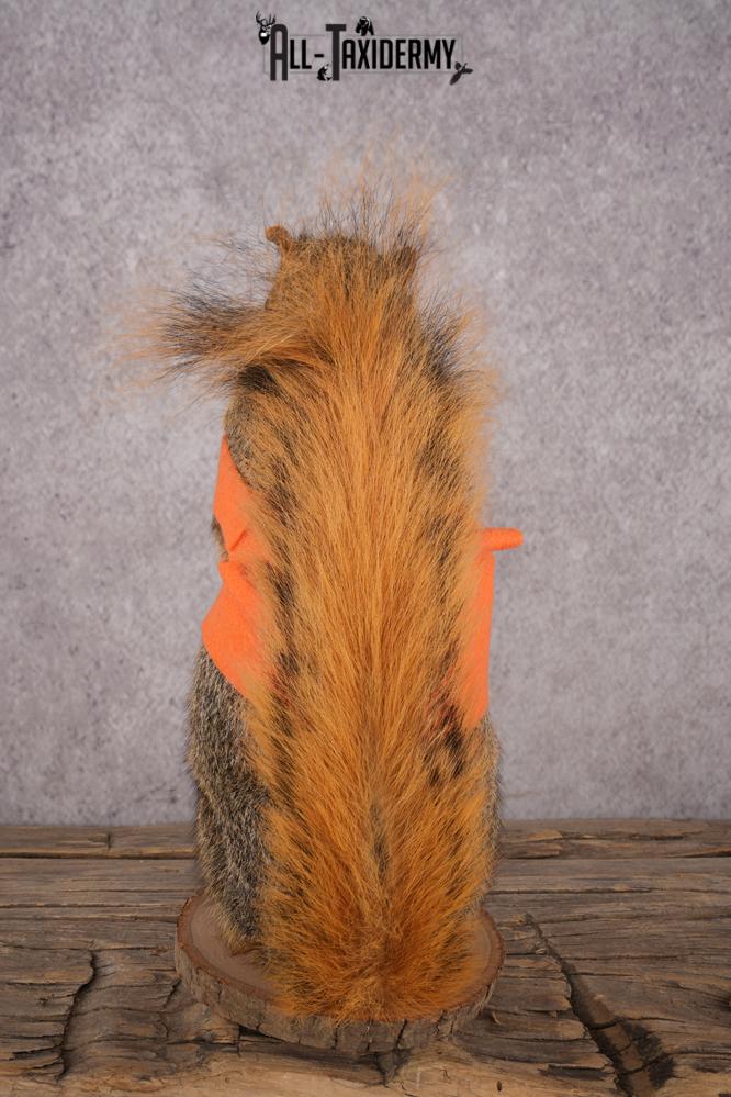 Hunting Squirrel SKU 3111 - Image 3