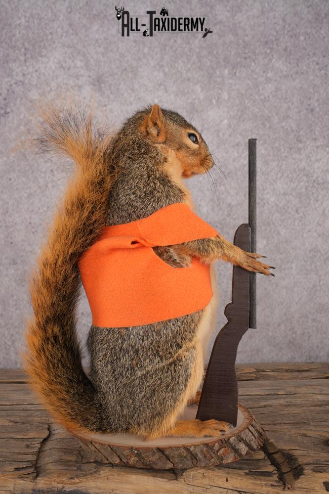 Hunting Squirrel SKU 3111 - Image 2