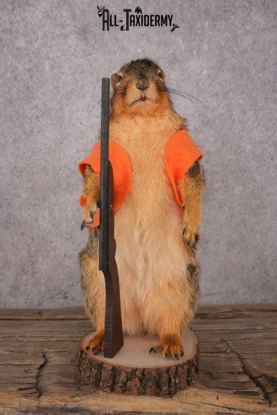 Hunting Squirrel SKU 3112