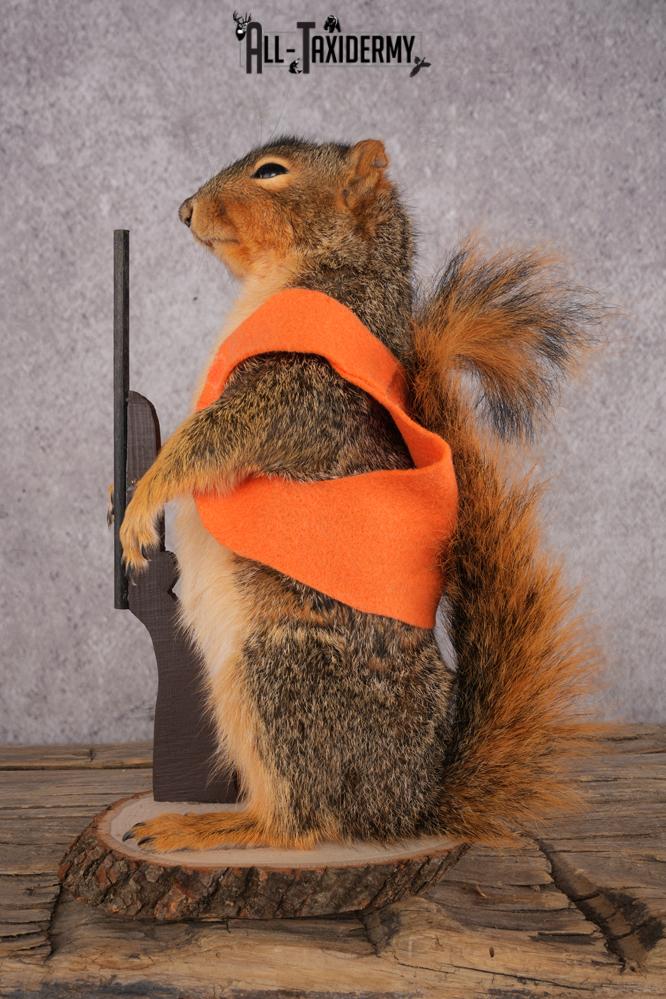 Hunting Squirrel SKU 3112 - Image 4