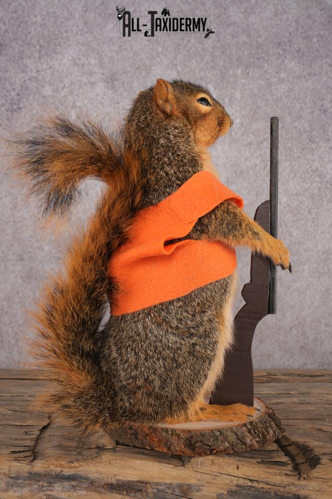Hunting Squirrel SKU 3112 - Image 2