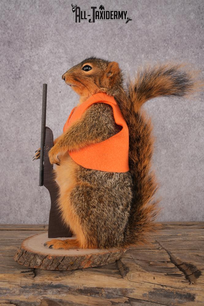 Hunting Squirrel SKU 3113 - Image 4