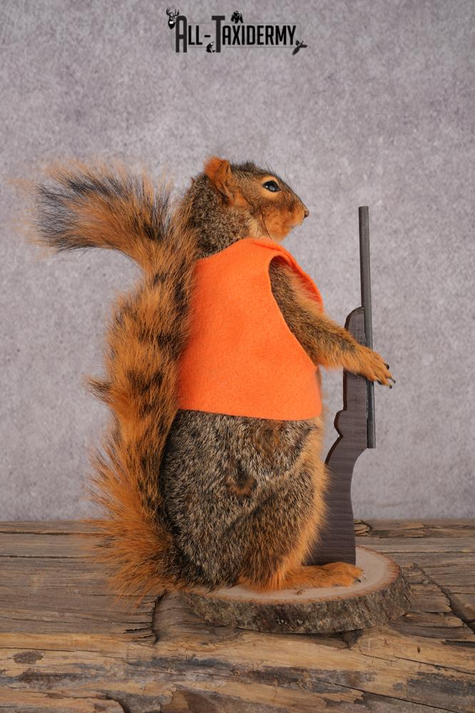 Hunting Squirrel SKU 3113 - Image 2