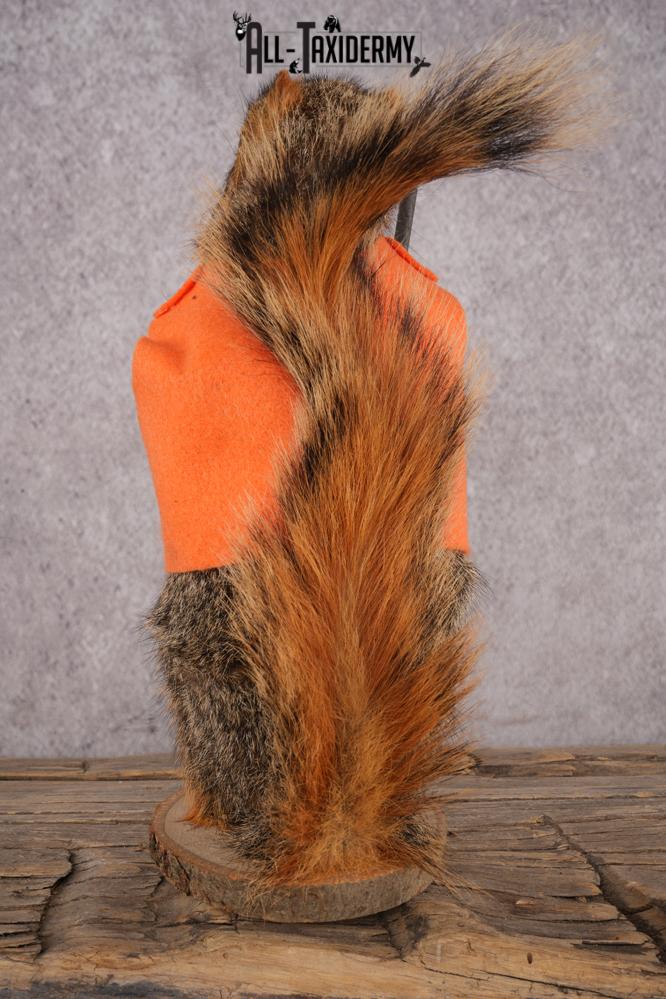 Hunting Squirrel SKU 3114 - Image 3