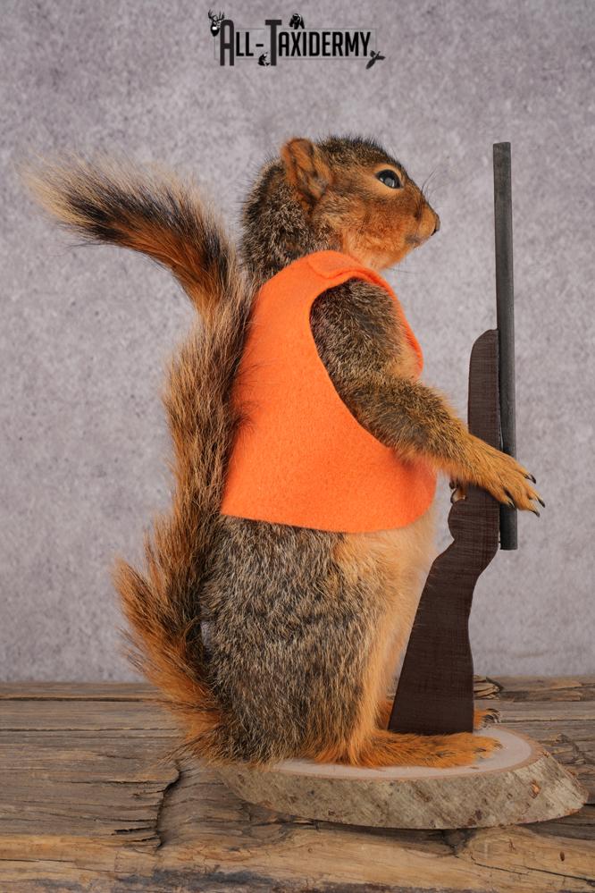 Hunting Squirrel SKU 3114 - Image 2