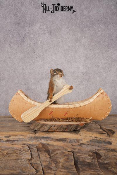 Red Squirrel in a Canoe SKU 3073