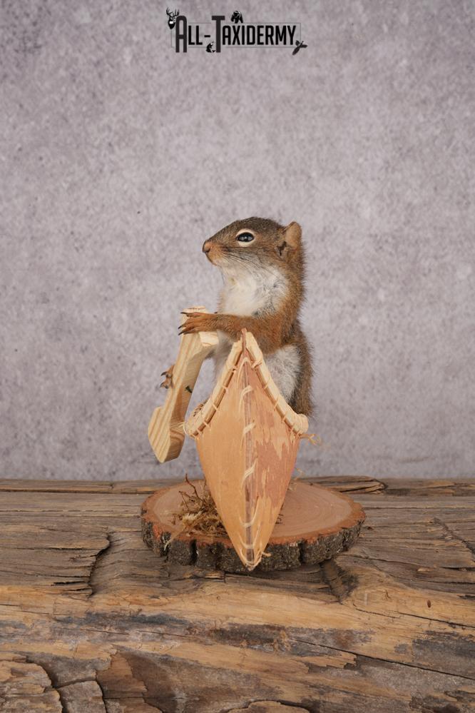 Red Squirrel in a Canoe SKU 3073 - Image 4