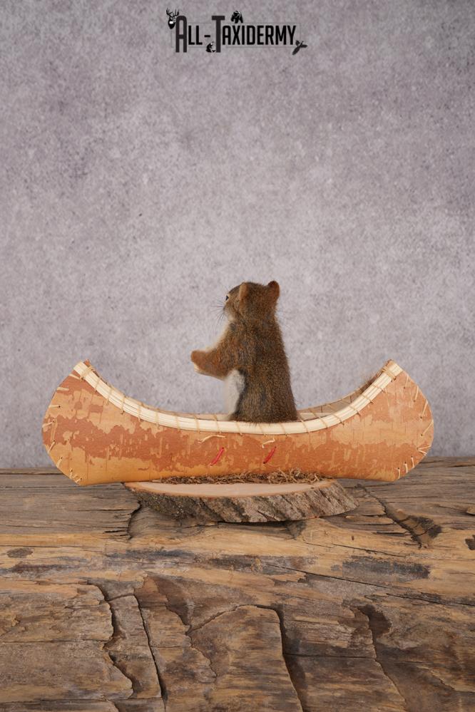 Red Squirrel in a Canoe SKU 3073 - Image 3