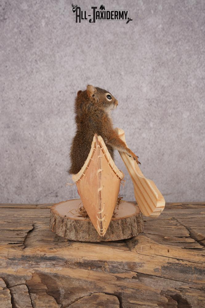 Red Squirrel in a Canoe SKU 3073 - Image 2