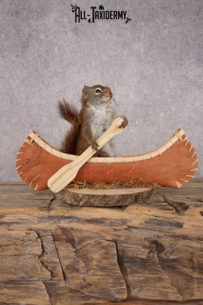 Red Squirrel in a Canoe SKU 3072