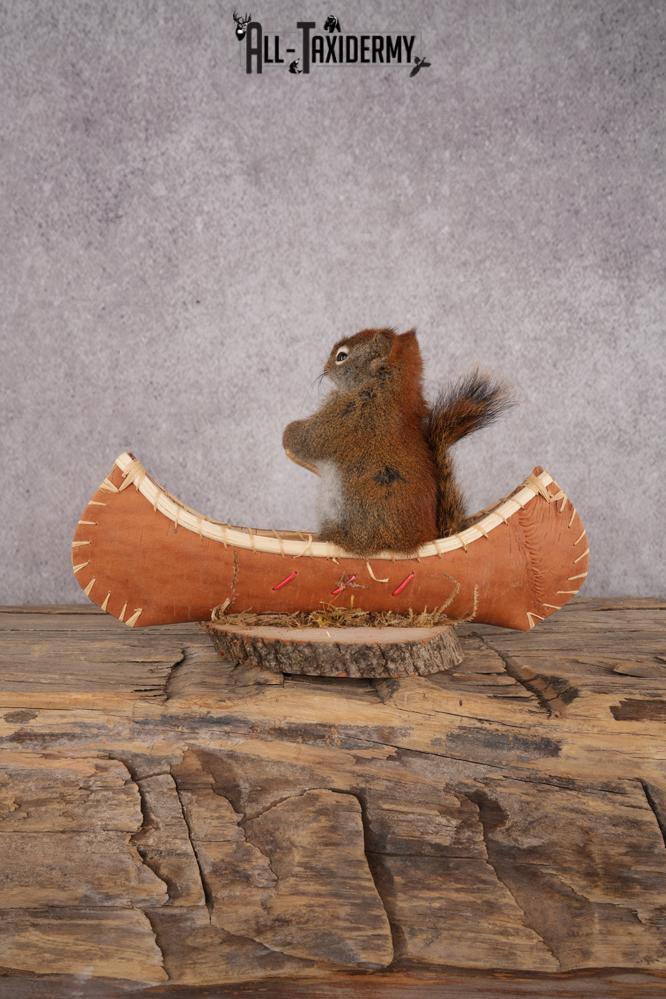 Red Squirrel in a Canoe SKU 3072 - Image 3