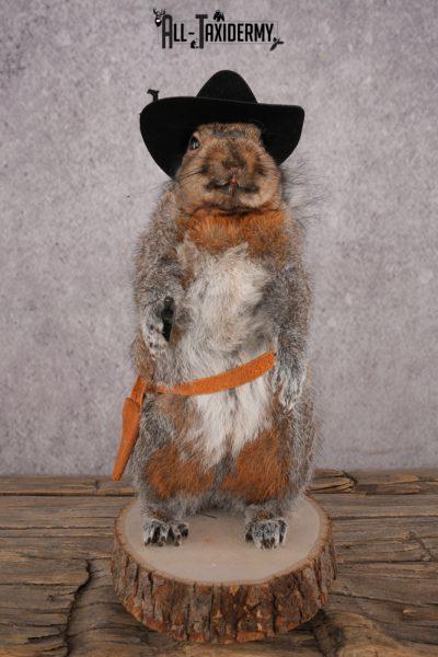 Cowboy Squirrel SKU 3070