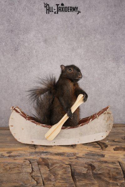 Black Squirrel in a Canoe SKU 3068