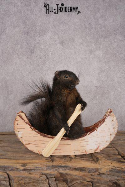 Black Squirrel in a Canoe SKU 3067