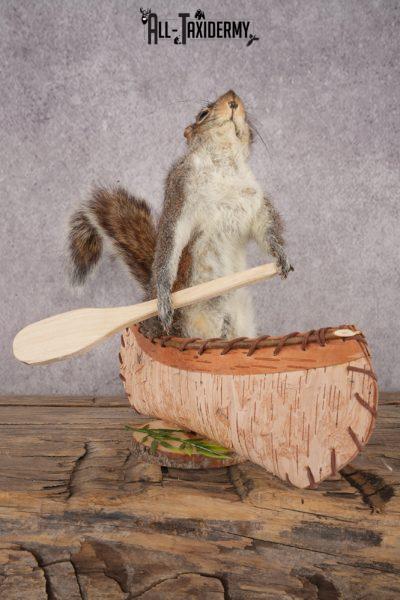 Squirrel in a Canoe SKU 3047