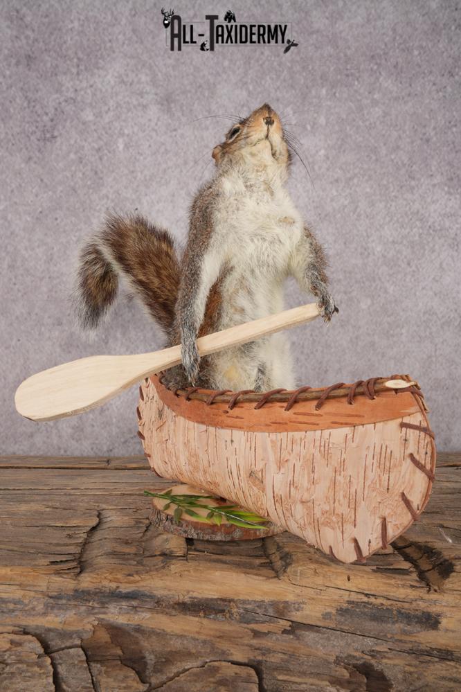 Squirrel in a Canoe SKU 3047