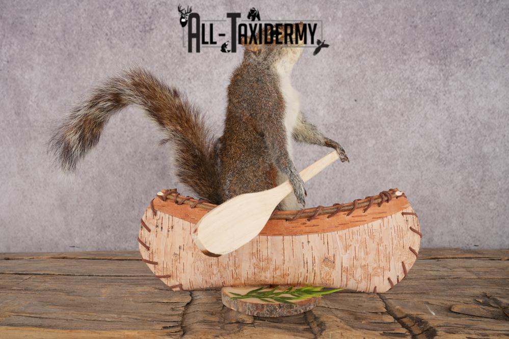 Squirrel in a Canoe SKU 3047 - Image 4