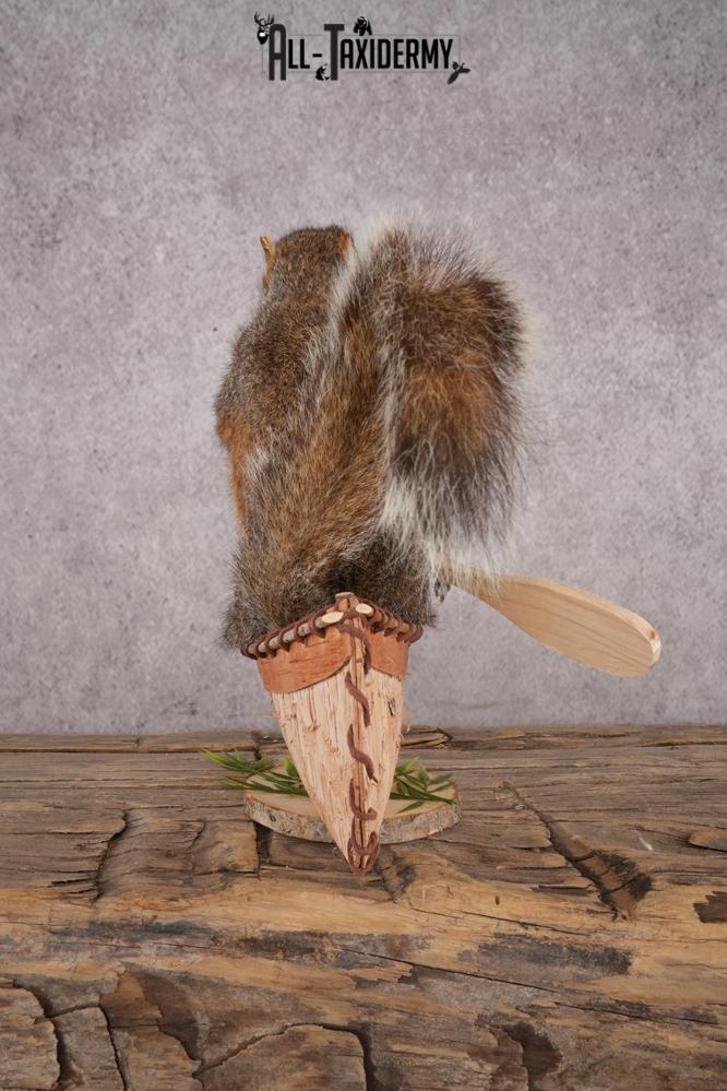 Squirrel in a Canoe SKU 3047 - Image 3