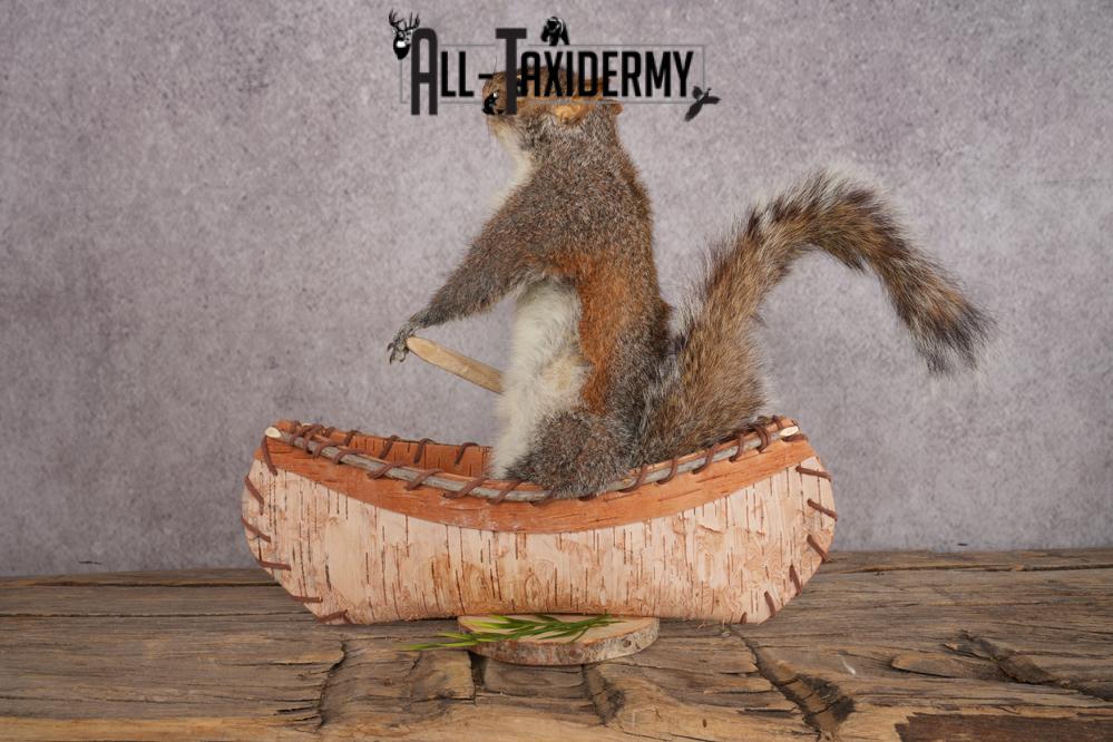 Squirrel in a Canoe SKU 3047 - Image 2