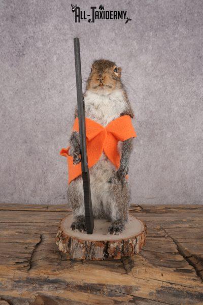 Hunting Squirrel SKU 3046