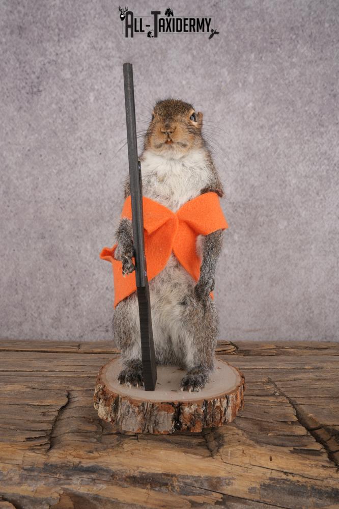 Hunting Squirrel SKU 3046