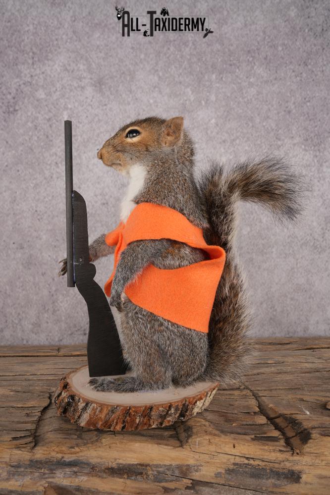 Hunting Squirrel SKU 3046 - Image 4