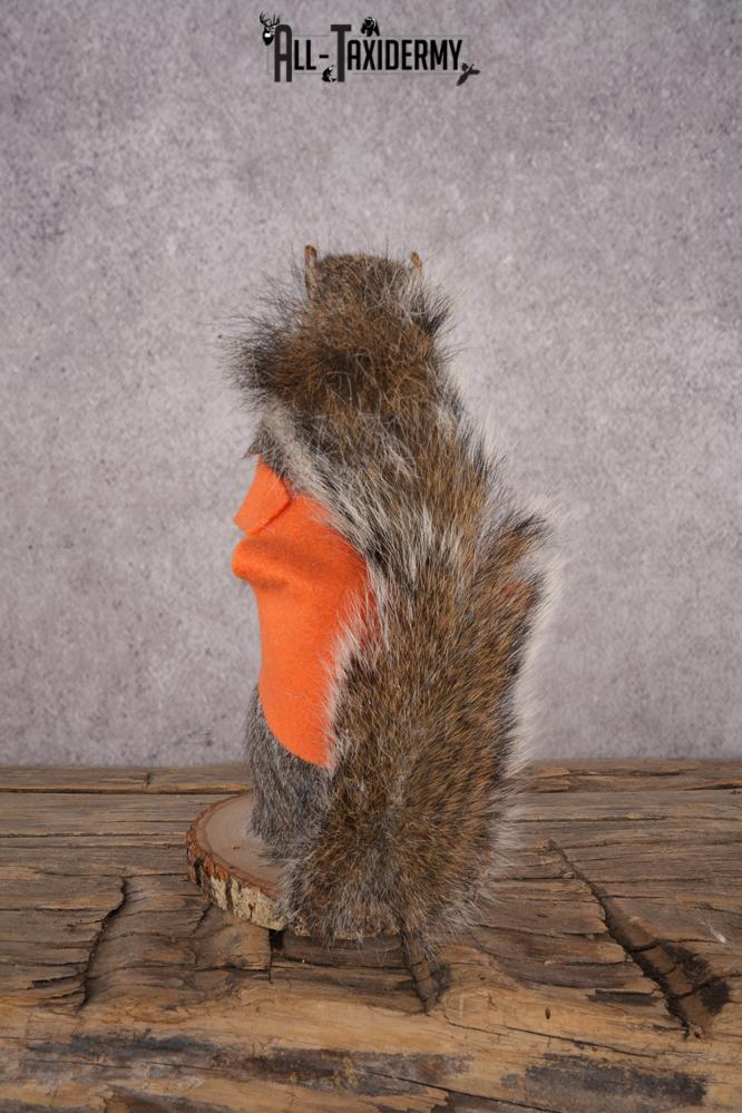 Hunting Squirrel SKU 3046 - Image 3