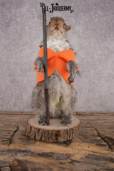 Hunting Squirrel SKU 3045