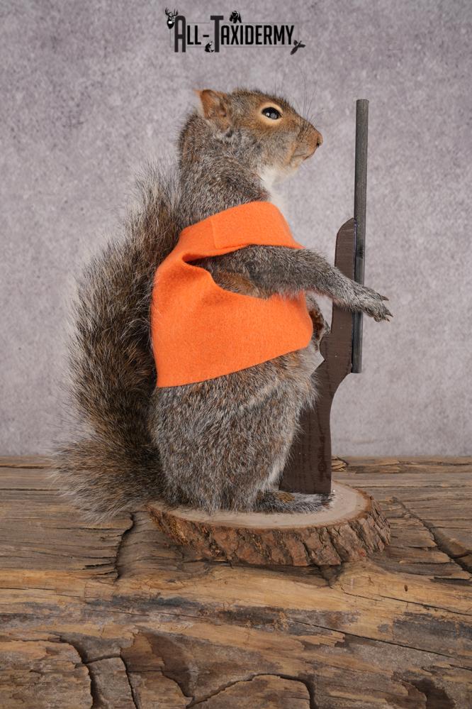 Hunting Squirrel SKU 3045 - Image 4