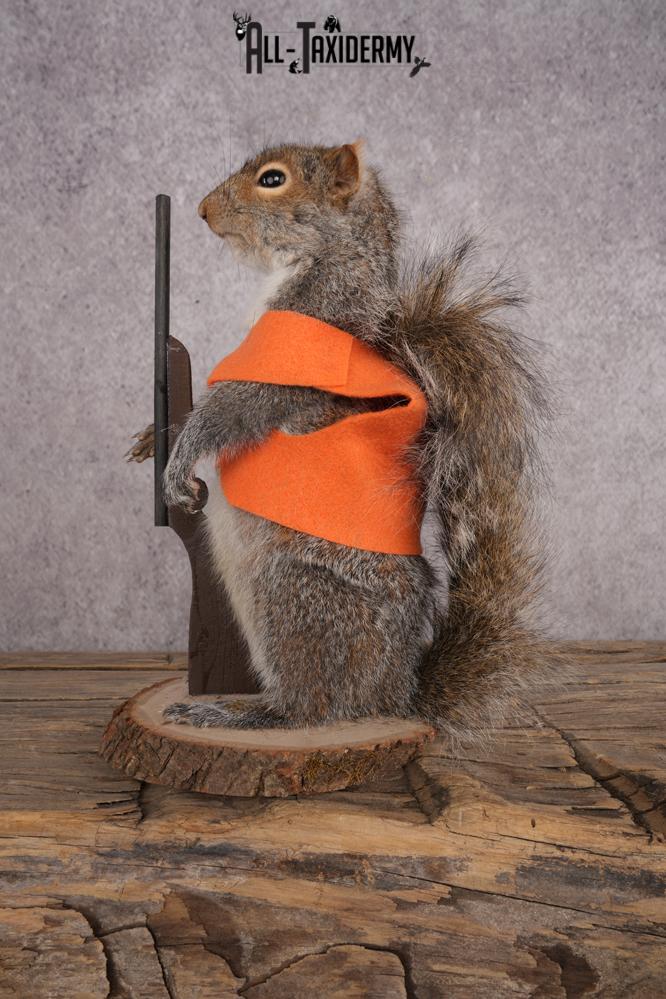 Hunting Squirrel SKU 3045 - Image 2