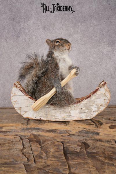 Squirrel in a Canoe SKU 3042