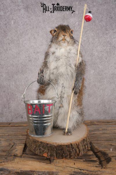 Fishing Squirrel SKU 3060